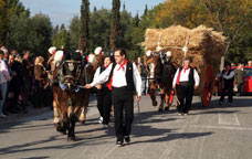 Els carros dels Tres Tombs de Vilanova surten de la Masia d'en Frederic