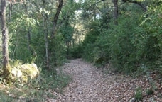 Camí nou del puig Sec