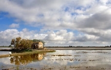 Delta de l'Ebre