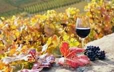 La Moritz acull el tast de 'Vins amb història'