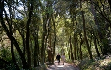El Parc Natural de Collserola