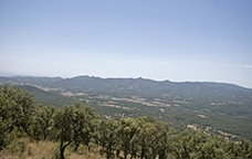 La serra de l'Ardenya i la vall d'Aro