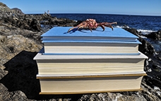 Uns llibres, a la platja