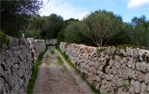 Camins rurals de Maó
