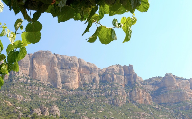 El cingles de la serra de Montsant, al Priorat