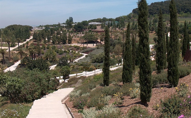 El Jardí Botànic de Barcelona, a la muntanya de Montjuïc