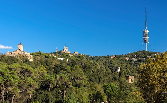 Els boscos de Collserola