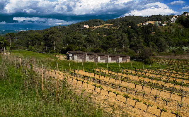 Un paisatge rural dels Hostalets de Pierola, a l’Anoia