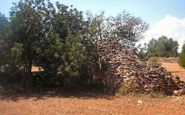 Barraca de pedra seca a la partida de la Cova del Duc, a l’Ametlla de Mar