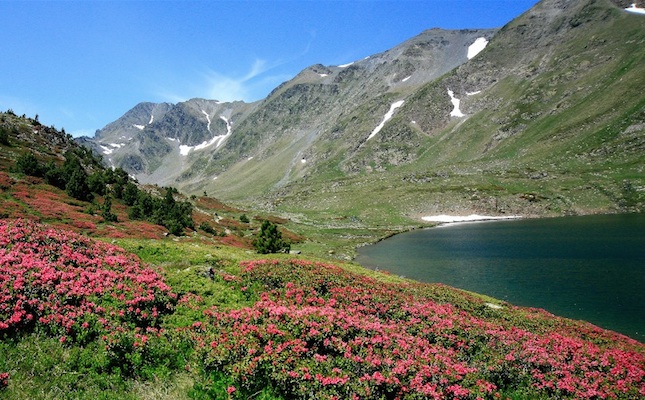 Un dels estanys de la travessa Carlit 50 Estanys