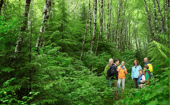 Un guia de natura condueix una família per un bosc