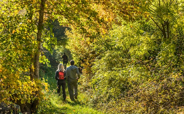 Una ruta senderista al Parc Natural de l’Alt Pirineu