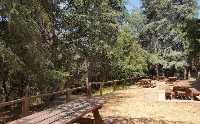 L'àrea de pícnic de les Feixes del Vilar, on comença l'itinerari pel 'silvetum' del Montseny 