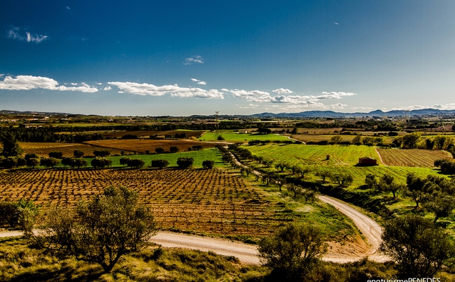 Mirador de la Cadira, a Torrelavit Mirador de la Cadira, a Torrelavit