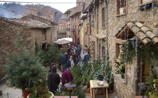 L'avet és el principal protagonista de la Fira de l'Avet d'Espinelves