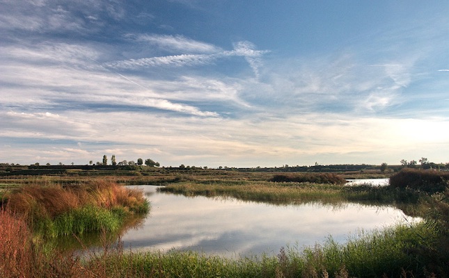 L’estany d’Ivars i Vila-sana, al Pla d’Urgell