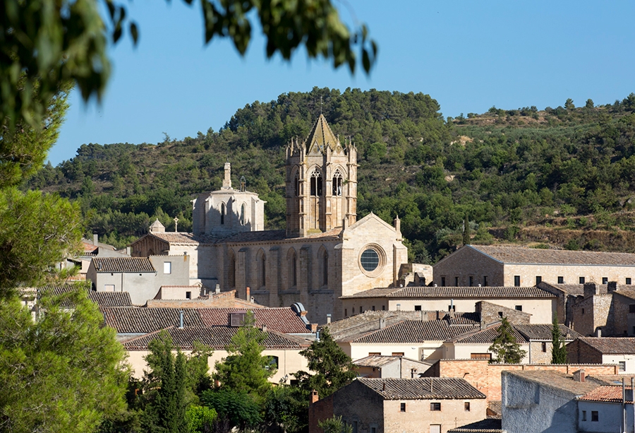 El monestir de Santa Maria de Vallbona El monestir de Santa Maria de Vallbona