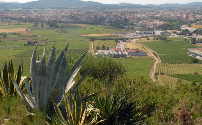 Vilafranca des del mirador de Sant Pau Vilafranca des del mirador de Sant Pau