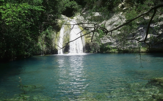 El gorg Blau