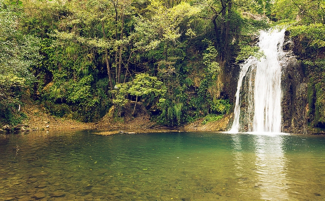 El misteriós gorg Malatosca