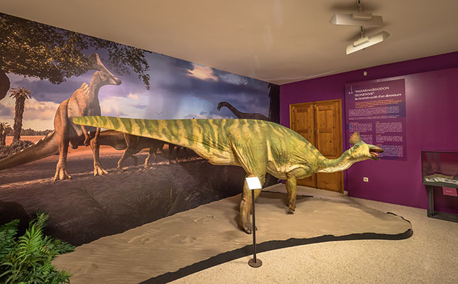 El Museu de la Conca Dellà abans de l'ampliació