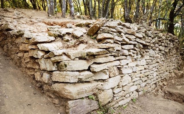 Jaciment de Puig del Castell