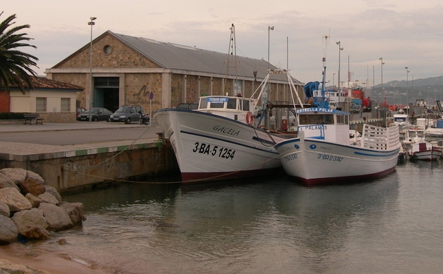 Barques i museu de la pesca de Palamós Barques i museu de la pesca de Palamós