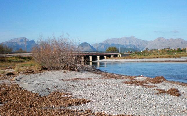 La reserva natural de s’Albufereta és una de las zones humides més rellevants de l'illa La reserva natural de s’Albufereta és una de las zones humides més rellevants de l'illa