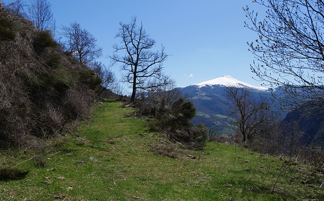 Ruta Ripollès