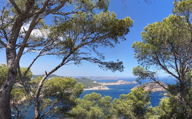 Mirador del Cap Negre