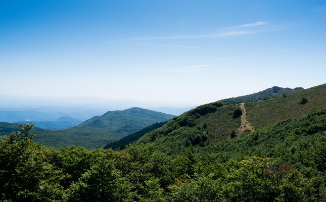 Montseny 