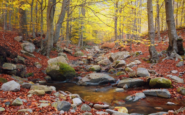 Montseny - Getty Images