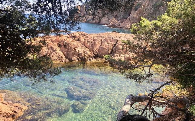 Aigua Xelida, una platja verge a Tamariu Aigua Xelida, una platja verge a Tamariu