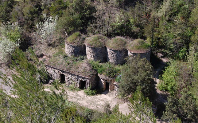 Les tines de la vall del Flaquer al Bages Les tines de la vall del Flaquer al Bages