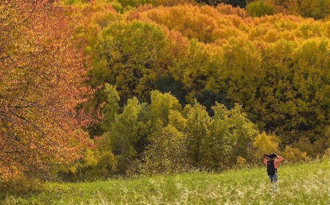 El paisatge de tardor a l'Alt Pirineu El paisatge de tardor a l'Alt Pirineu