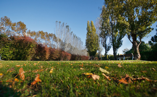 La tardor al Parc Central de Sant Cugat
