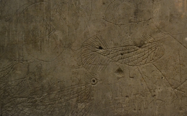 El grafit que es troba a l'església de la Nativitat de Durro és un ocell El grafit que es troba a l'església de la Nativitat de Durro és un ocell