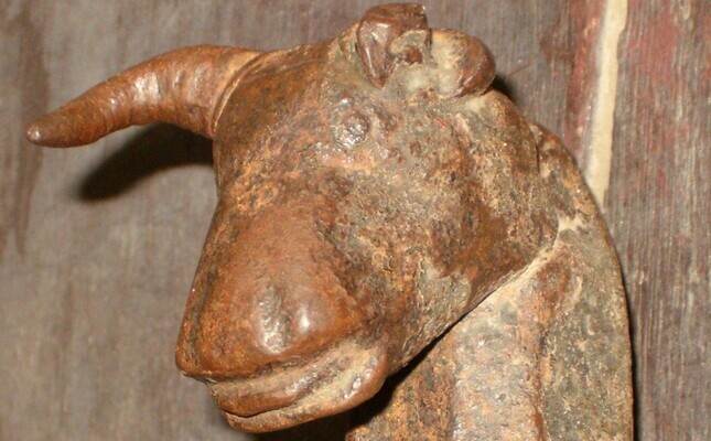 El forrellat de Barruera és un bou El forrellat de Barruera és un bou