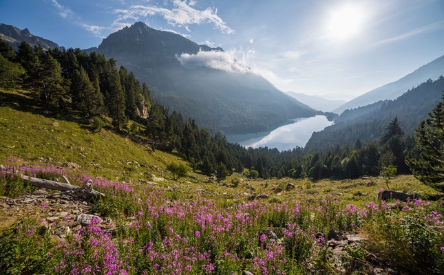 Paisatge de primavera al Parc Nacional d'Aigüestortes i l'Estany de Sant Maurici