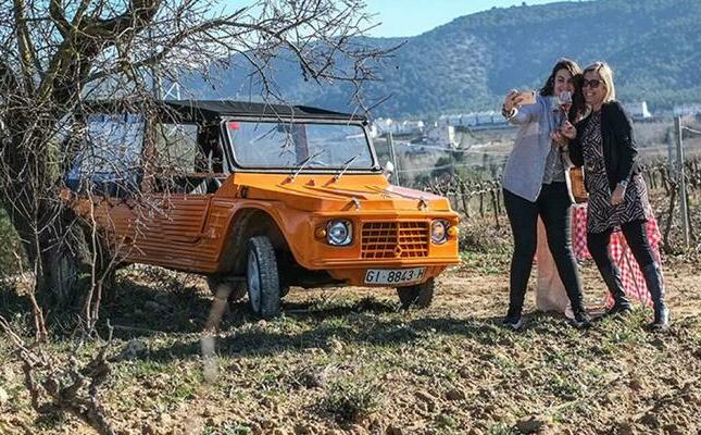 Una experiència per les vinyes del Penedès en Mehari