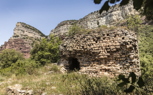 La Domus del Pi encara conserva el sostre de l’edificació - La Domus del Pi encara conserva el sostre de l'edificació