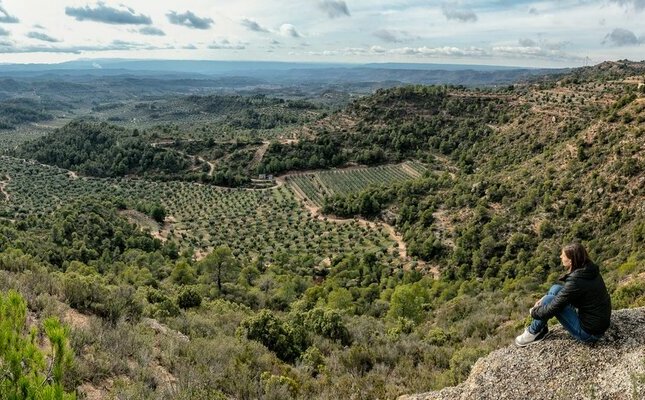 L'oleoturisme és un dels atractius de les Garrigues L'oleoturisme és un dels atractius de les Garrigues
