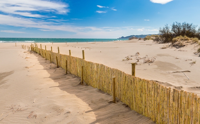 Les dunes de la platja de la Pletera Les dunes de la platja de la Pletera