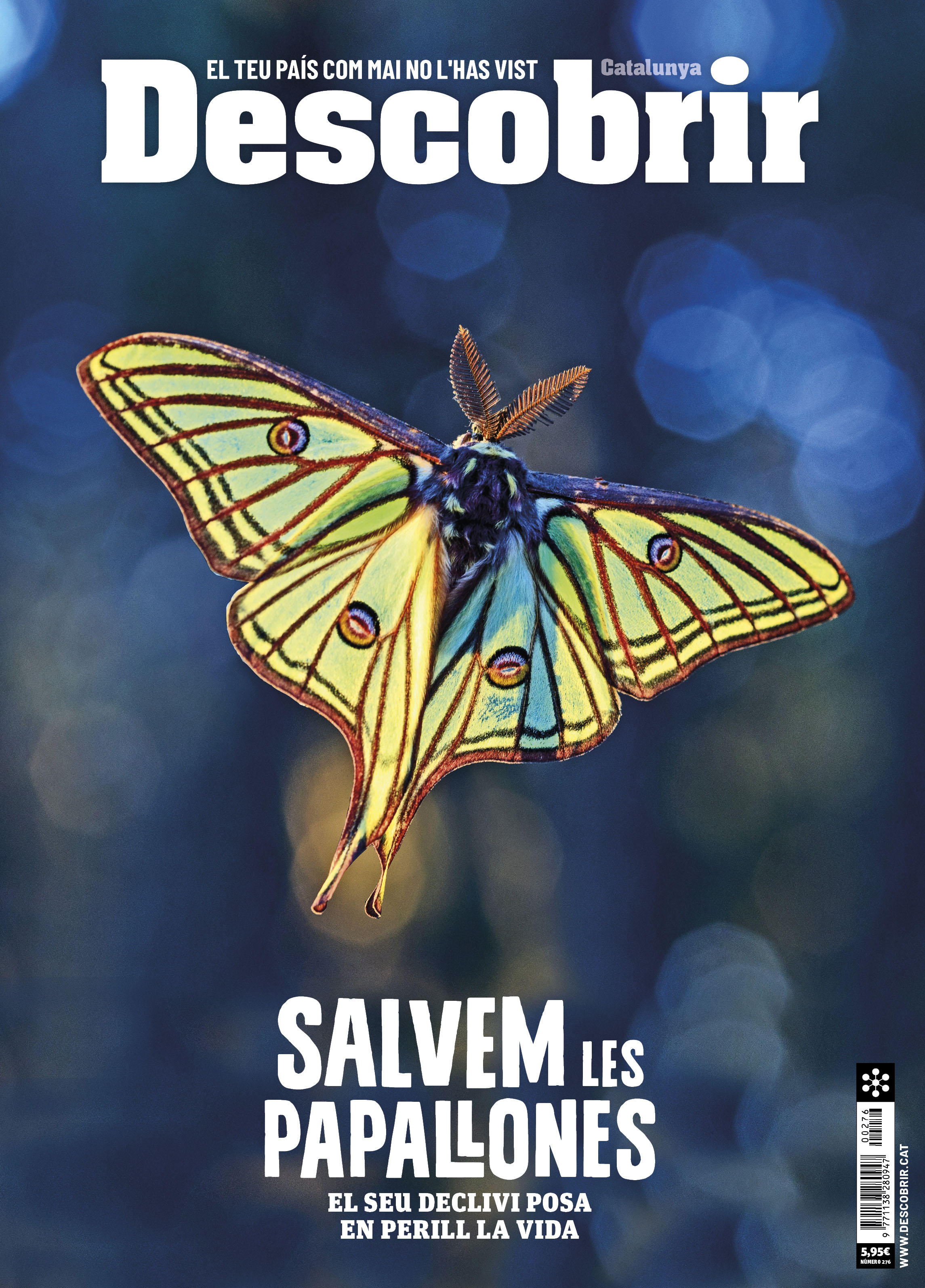 Portada Salvem les papallones - Descobrir 276 Portada Salvem les papallones - Descobrir 276
