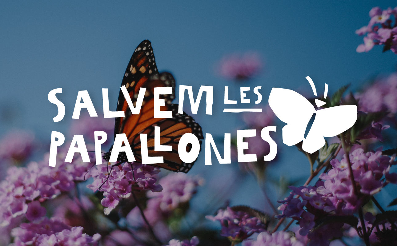 Salvem les papallones