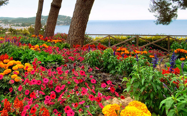 Flors de primavera als jardins de Cap Roig Flors de primavera als jardins de Cap Roig