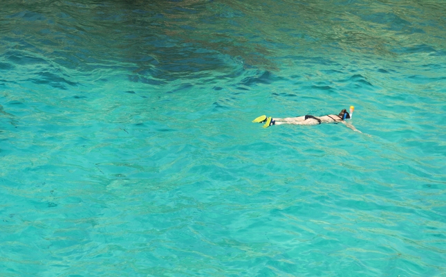 Snorkel a les cales de la Costa Brava Snorkel a les cales de la Costa Brava
