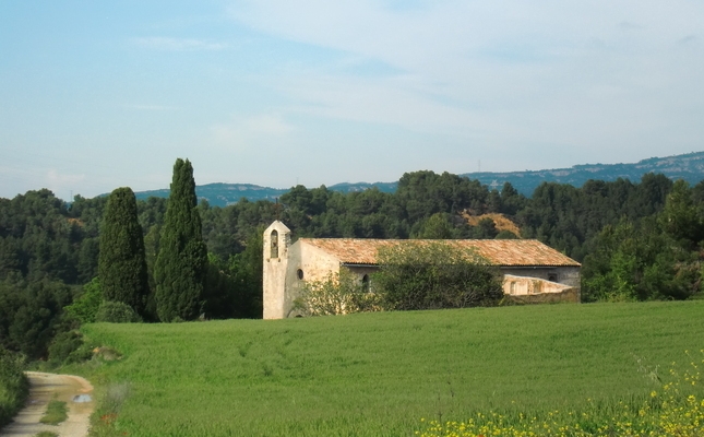 A l'ermita de Santa Anna es farà un dels tast de vins