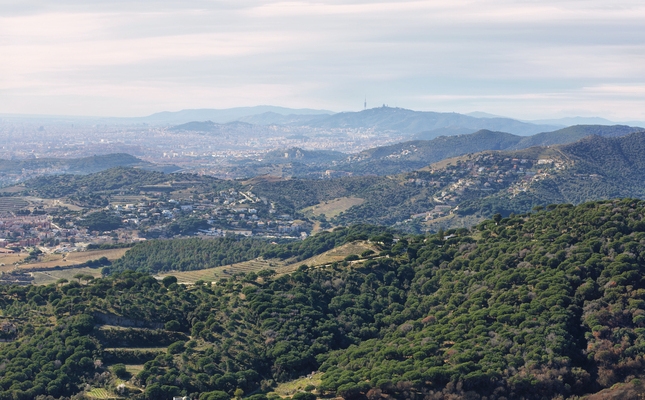 Vista panoràmica de Collserola