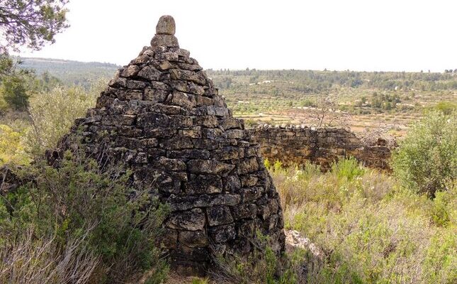 Un aljub, una de les construccions de pedra seca que es poden veure al terme de Torrebesses Un aljub, una de les construccions de pedra seca que es poden veure al terme de Torrebesses